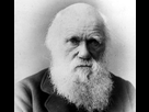 https://image.noelshack.com/fichiers/2021/11/3/1616006066-charlesdarwin-e1511520235773.jpg