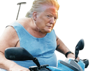 https://image.noelshack.com/fichiers/2021/11/6/1616198471-trump-scooter.png