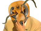https://image.noelshack.com/fichiers/2021/11/7/1616354022-ca52a414-30c4-4b1c-85a2-a186d2c2b15e.jpeg