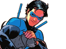 https://image.noelshack.com/fichiers/2021/12/1/1616447129-nightwingdog.png
