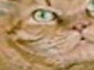 https://image.noelshack.com/fichiers/2021/12/3/1616617869-24-79md92sm.png
