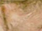 https://image.noelshack.com/fichiers/2021/12/3/1616617869-31-79md92sm.png