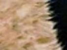 https://image.noelshack.com/fichiers/2021/12/3/1616617911-61-79md92sm.png
