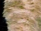 https://image.noelshack.com/fichiers/2021/12/3/1616617911-66-79md92sm.png