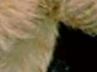 https://image.noelshack.com/fichiers/2021/12/3/1616617911-67-79md92sm.png