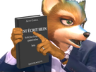 https://image.noelshack.com/minis/2021/12/6/1616877957-fox-1354-v2.png