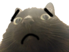 https://image.noelshack.com/fichiers/2021/12/7/1616960732-triste.jpg