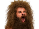 https://image.noelshack.com/fichiers/2021/13/1/1617034317-22786-full.png