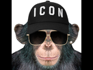 https://image.noelshack.com/fichiers/2021/13/3/1617153074-icon-monkey5.jpg