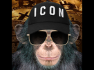 https://image.noelshack.com/fichiers/2021/13/3/1617153192-icon-monkey4.jpg