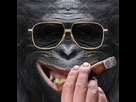 https://image.noelshack.com/fichiers/2021/13/3/1617156743-monkey-rich-cigare.jpg