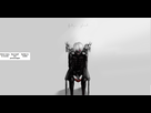 https://image.noelshack.com/fichiers/2021/13/3/1617211382-image-2021-03-31-182255.png