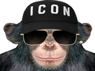 https://image.noelshack.com/fichiers/2021/13/4/1617268702-1617153074-icon-monkey5.jpg