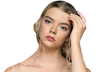 https://image.noelshack.com/fichiers/2021/13/4/1617278339-anya04.png