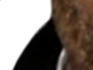https://image.noelshack.com/fichiers/2021/13/4/1617278745-26-1so1q028.png