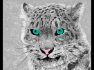 https://image.noelshack.com/fichiers/2021/13/4/1617307843-blue-eyes-snow-leopard-n-2.jpg