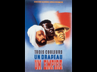 https://image.noelshack.com/fichiers/2021/14/1/1617655833-rahmi-eclairage-historique-acm-troupes-indigenes-3-couleurs-1.jpg