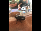 https://image.noelshack.com/fichiers/2021/14/3/1617777679-1405351a-a8a8-4719-ba0b-ea4d07aa61c5.jpeg
