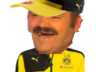 https://image.noelshack.com/fichiers/2021/14/3/1617830601-bvb-risi.png