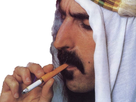 https://image.noelshack.com/fichiers/2021/15/2/1618266613-1587637076-zappa-sheik-yerbouti-fume2.jpg