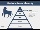 https://image.noelshack.com/fichiers/2021/15/3/1618389317-the-socio-sexual-hierarchy.jpg