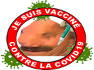 https://image.noelshack.com/fichiers/2021/15/3/1618401346-je-suis-vaccine.png