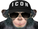 https://image.noelshack.com/fichiers/2021/15/4/1618477133-1617153074-icon-monkey5.jpg