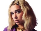 https://image.noelshack.com/fichiers/2021/15/5/1618595834-dua-lipa-9.png