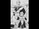 https://image.noelshack.com/fichiers/2021/15/6/1618665761-vegeta-nappa.jpg