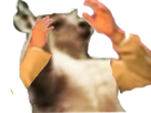 https://image.noelshack.com/fichiers/2021/15/7/1618698591-130731-full.png