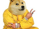 https://image.noelshack.com/fichiers/2021/16/2/1618909920-ali-doge-keep-it-real.png