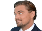 https://image.noelshack.com/minis/2021/16/2/1618938843-leo-dica-3.png