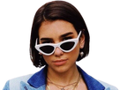 https://image.noelshack.com/fichiers/2021/16/3/1618980001-dua-lipa-4.png