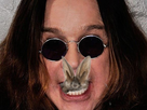 https://image.noelshack.com/fichiers/2021/16/3/1619032090-ozzy-osbourne.jpg