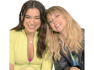 https://image.noelshack.com/minis/2021/16/3/1619039300-dua-lipa-11.png
