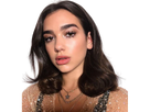 https://image.noelshack.com/fichiers/2021/16/3/1619039300-dua-lipa-9.png