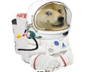 https://image.noelshack.com/fichiers/2021/16/5/1619170737-space-doge.png