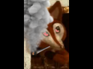 https://image.noelshack.com/fichiers/2021/16/5/1619209127-croquetout.png