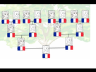 https://image.noelshack.com/fichiers/2021/16/7/1619364196-1509582257-family-tree-template-27827.png