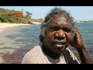 https://image.noelshack.com/fichiers/2021/16/7/1619366550-310x190-chanteur-aborigene-mandawuy-yunupingu-australie-4-decembre-2005.jpg