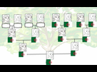 https://image.noelshack.com/fichiers/2021/16/7/1619366897-1509582257-family-tree-template.png