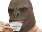 https://image.noelshack.com/fichiers/2021/17/1/1619458211-1595545566-brute21.png