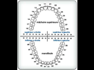 https://image.noelshack.com/fichiers/2021/17/2/1619484424-image.png