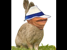 https://image.noelshack.com/fichiers/2021/17/2/1619508726-image-2021-04-27-093207.png