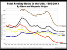 https://image.noelshack.com/fichiers/2021/17/2/1619522468-fertility19802013-b.png