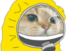 https://image.noelshack.com/fichiers/2021/17/3/1619638111-173588-full.png