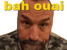 https://image.noelshack.com/fichiers/2021/17/3/1619638276-1603922420-puillco.png