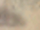 https://image.noelshack.com/fichiers/2021/17/3/1619640056-29-kn5brbnw.gif
