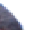 https://image.noelshack.com/fichiers/2021/17/3/1619640056-5-2oina6wy.png