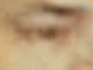 https://image.noelshack.com/fichiers/2021/17/3/1619640182-20-kn5brbnw.gif